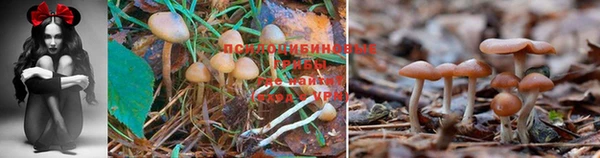 дистиллят марихуана Фурманов