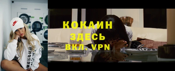 ПСИЛОЦИБИНОВЫЕ ГРИБЫ Инсар