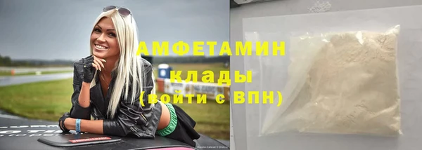 ПСИЛОЦИБИНОВЫЕ ГРИБЫ Инсар