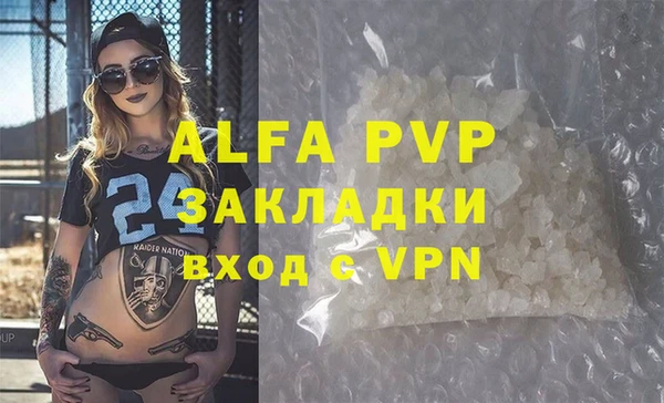 ПСИЛОЦИБИНОВЫЕ ГРИБЫ Инсар