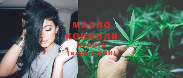 прущий лед Каменка