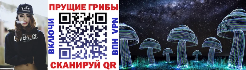 Псилоцибиновые грибы ЛСД  MEGA маркетплейс  Каневская 